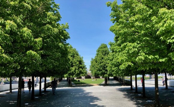 It's Sunday, January 10th, 2021/Final Update Four Freedoms Park - Take a Break...